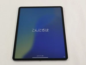 Apple iPad Pro 12.9" A2764 128 GB iOS 18.5 Space Gray ( Wi-Fi + 5G ) Unlocked - Picture 1 of 8