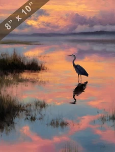 Heron in shallow water with pastel sky reflections 8x10 Matte Print - Picture 1 of 8