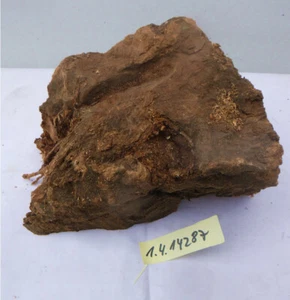 Olive Olivenholz Drechselholz Wurzel Messergriffe Rohlinge Klotz Basteln Stifte - Bild 1 von 3