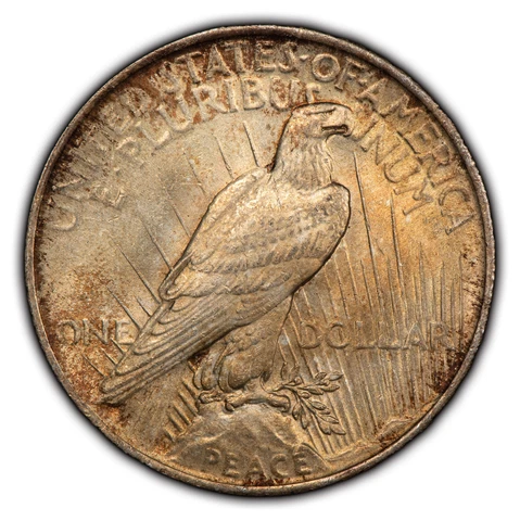1923 $1 Silver Peace Dollar - Colorful Toning - BU - SKU-D4316 Cover