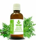 Pure Herbs Mugwort 100%pure & Natura Artemisia Vulgaris Essential Essential Oil