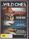 The Wild Ones - DVD