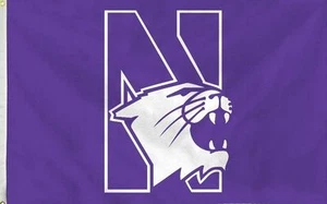 Northwestern Flag 3 X 5 - Picture 1 of 1