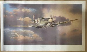 Adrian Rigby "Freedom Fighter" spitfire 222 squadron Brown Fine art print - Picture 1 of 6
