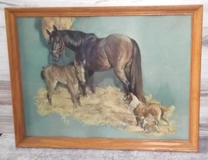 Vtg Elmore Brown Lithograph Horse Foal & Collie Dogs Wood Frame - Picture 1 of 1