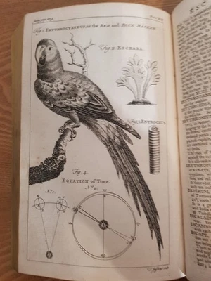 1754 A NEW & COMPLETE DICTIONARY OF ART & SCIENCES VOL 2 with 84PLATES ANIMALS @ - Image 1 of 4