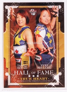 TANNY MOUSE & YUKI MIYAZAKI - 2011 BBM Women's Pro-Wrestling Trading Card - Picture 1 of 3