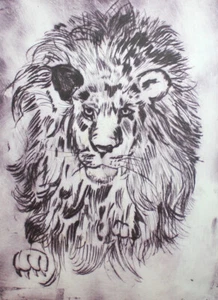 Löwe Kunstdruck signiert - Bild 1 von 9