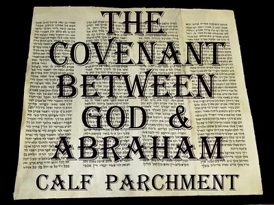 TORAH SCROLL BIBLE VELLUM MANUSCRIPT FRAGMENT 150 YRS EUROPE Genesis 12:19-16:12 - Image 1 of 4