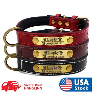 puppy collars ebay