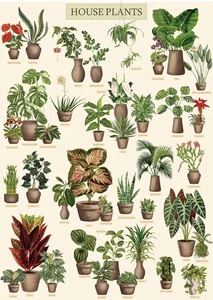 Vintage Houseplant Puzzle 1000 Pieces for Adult, Botany Succulent House... - Picture 1 of 8
