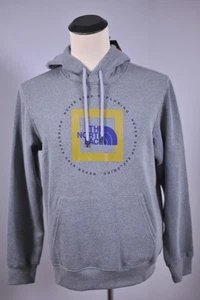 NWT The North Face Geo Never Stop Exploring Hoodie Gray Men's Medium M - Picture 1 of 4
