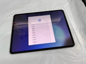Apple iPad Pro 13" 2024 M4 A2926 256GB WiFi + Cell Mint Warranty Mar-16-2026 - Picture 1 of 6