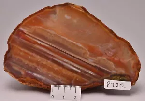 AGATE CREEK, AGATE HALF, POLISHED, AUSTRALIA P722 - Bild 1 von 3