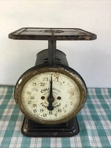 Prim Columbia escala familiar 24 libras granja cocina rústica decoración del hogar funciona - Imagen 1 de 7