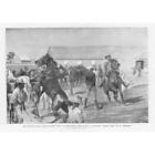 BOER WAR British South African Police Camp at Bulawayo - Antique Print 1899