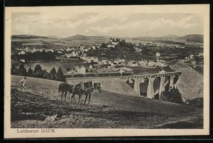 Daun, Viadukt, Ortsansicht, Landwirtschaft, Ansichtskarte 1925  - Picture 1 of 2
