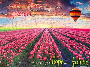 CHRISTIAN PUZZLE: God's Plan Promise Puzzle (300 Pieces) - Picture 1 of 7