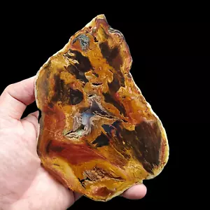 210 Gr Rara INCREÍBLE PINTURA PICTÓRICA REBANADA DE MADERA PETRIFICADA PULIDA DE INDONESIA - Imagen 1 de 4