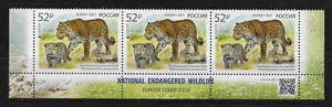 Russia 2021,Rare Cats of Prey,Leopard with Cub,Endangered Wildlife,Europa Issue. - Picture 1 of 1