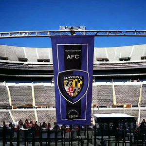 Baltimore Ravens History Flag Heritage Logo 18 X 44 Banner Flag - Picture 1 of 7