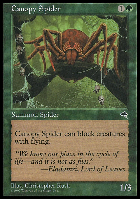 Magic the Gathering MTG Canopy Spider (217) Tempest   LP - Image 1 of 1
