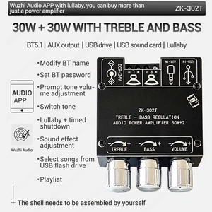 Digital Power Amplifier Board 2.0 Stereo Dual Channel Audio TDW - Afbeelding 1 van 12