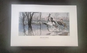 Backwater Mallards The Sportsman's Favorite Series de Dave Brandon sin firmar. - Imagen 1 de 16