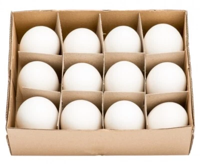 12 grandi uova d'oca soffiate di NaDeco uova d'oca decorazione pasquale uova di Pasqua