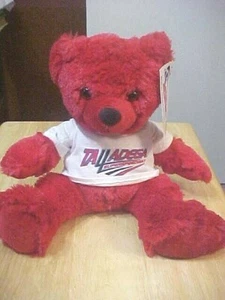 NASCAR TALLADEGA SUPER SPEEDWAY 12 ZOLL ROTER TEDDYBÄR PLÜSCHMÜTZE NEU MIT ETIKETT Einzelhandel $15 - Bild 1 von 8