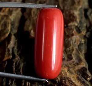 Zylindrische italienische rote Koralle 10,60 Ct Naturedelstein zertifiziert B89409 - Bild 1 von 8