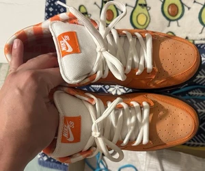 Tenis Nike SB Concepts Naranja Langosta Talla 13 Usados 1x Caja y Cordones Extra - Imagen 1 de 11