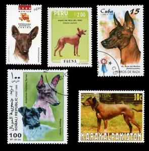 HAIRLESS DOG BREEDS INTERNATIONAL POSTAGE STAMPS x 5 different - Picture 1 of 1