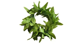 Hawaiian Luau Party Hula Unisex Doppia Mano Corda Verde Seta Haku Testa Lei - Foto 1 di 2