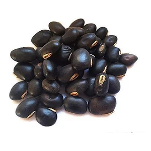 Black Kaunch Seeds Mucuna Pruriens Indian Velvet Bean Konch Beej , 100% Herbal - Picture 1 of 2