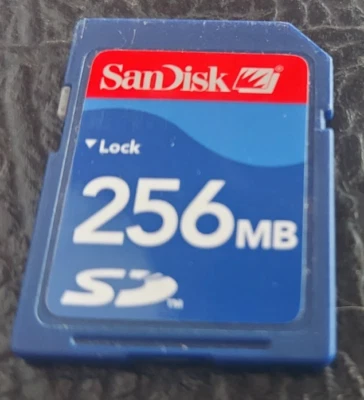 SanDisk 256MB CompactFlash CF Memory Card SDCFB-256 SDCFJ-256 - Image 1 of 2