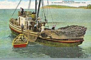 VIntage Postcard-P108, Purse Seining in the scenic Pacific Northwest - Picture 1 of 2