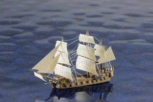 Fuchs 20 cañones fabricante CONSTRUCCIÓN MANUAL PRIVADA, 1:1250 modelo de barco - Imagen 1 de 4