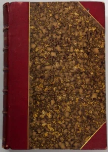 1874 Monsieur Violet California Sonora Texas Captain Frederick Marryat Leather - Picture 1 of 6