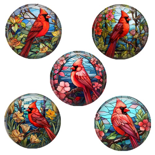 SET OF 5 Cardinals Button Magnets 1.25 INCH Each Bird Lover Bird ...
