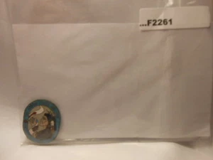 SECTION SC CONCLAVE PARTICIPANT'S PIN NO POST F2261 - Imagen 1 de 1