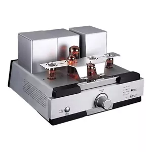YAQIN B-2T Fever HiFi Tube Front Amplifier High Fidelity Gallbladder Set - Picture 1 of 5