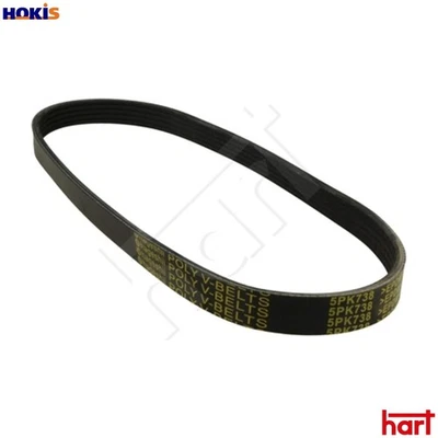 VRIBBED BELT 368 893 FOR PEUGEOT FERRARI 348/Spider/ts/GTS/tb/GTB  LAND ROVER - Image 1 of 4