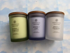 SET (3) CHESAPEAKE BAY GEIST & KÖRPER SORTIERTE KERZEN SOJAWACHSMISCHUNG 8,8 UNZEN - Bild 1 von 2