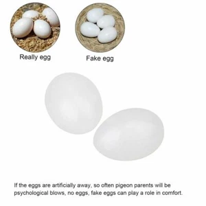 White 10pcs Solid Plastic Eggs Dummy Fake Eggs For Racing Homing Pigeons Eggs - Picture 1 of 7