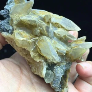 MI6 Mineral de cristal de Calcita Amarillo Deslustre Diente Perro y Fluorita n - Picture 1 of 6