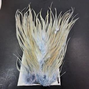Pale Light Blue Ginger Rooster Saddle Hackle Long Dry Fly Tying Feathers #1 - Picture 1 of 4