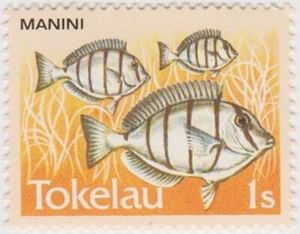 Tokelau 1984 - 1s Fish - Manini - MNH - Picture 1 of 1
