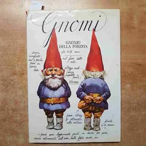 GNOMI poortvliet huygen 1978 RIZZOLI gnomo folletto bosco creature fatate - Foto 1 di 6
