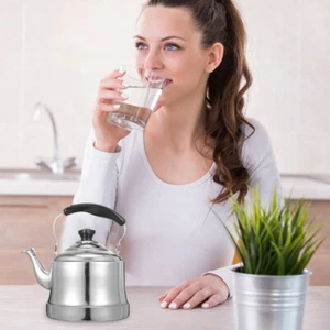 Boiling Kettle Teapot Stainless Steel for Stovetop Water Travel Whistling - Bild 1 von 10